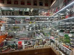 -80M 巴士专门店