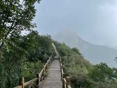 -大岭沟猕猴桃谷风景区