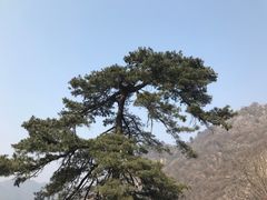 -秦岭终南山世界地质公园翠华山景区