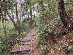 -青龙山国家森林公园
