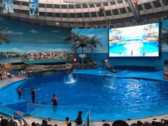-海合安成都极地海洋公园