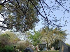 -重庆彩云湖湿地公园