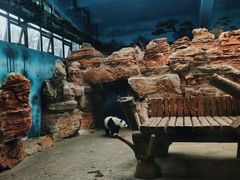 -石家庄市动物园