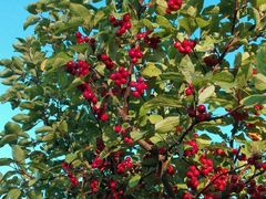 android_upload_pic-永定河休闲森林公园