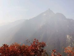 -太平万花山景区