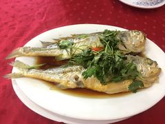 -蛇口康乐快餐鱼仔档(翠苑小区店)