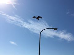 -灌篮高手动画打卡地