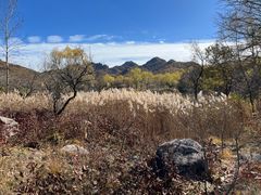 -玉渡山自然风景区