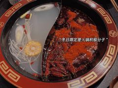-谭记重庆老火锅(总店)