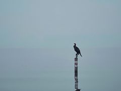 -西湖天地