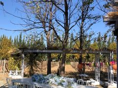 -安德鲁户外烧烤帐篷营地(马泉营店)