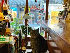 -HUG COFFEE(鼓楼店)