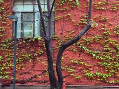 -海峡创意产业园