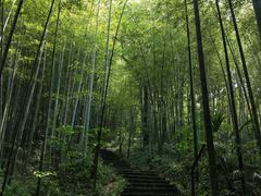 -镇江市南山风景名胜区竹林景区