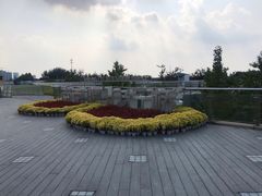 -南京眼步行桥