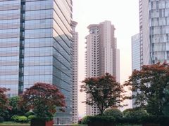 -花园5號餐厅