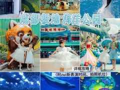 -海合安成都极地海洋公园