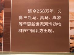 -大庆市博物馆