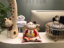 -苗方清颜·祛痘皮肤管理