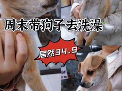 -中农大我爱我爱动物医院·核磁CT·猫病·24小时夜诊中心(石佛营店)