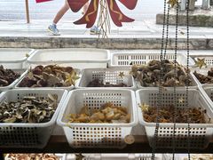 -野菌王•养生汤锅•野生菌火锅(大理漾濞路店)