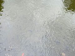 -三亚南山文化旅游区