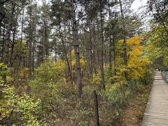 -帽儿山国家森林公园