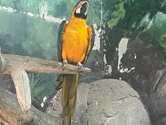 -福州罗源湾海洋世界旅游区
