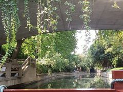 -运河游船(武林门码头)