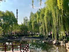 -唐城墙遗址公园