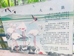 -九龙公园