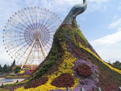 -七彩云南欢乐世界