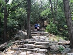 -北京鹫峰国家森林公园