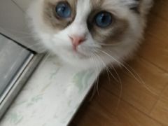 -陈记柳州螺蛳粉(大坪店)