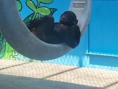 -北京野生动物园