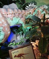 -恐龙探索乐园(磁器口店)