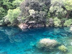 -叠溪松坪沟景区