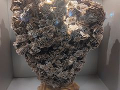 -甘肃地质博物馆