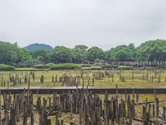 -河姆渡遗址博物馆