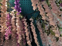 -青瓷火锅料理(西单大悦城店)