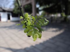 -嘉定博物馆