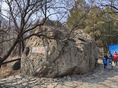 -阳台山自然风景区