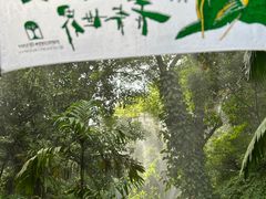 -青青世界