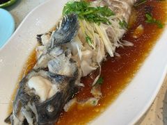 -巧克力渔家.小船海鲜胶东菜(万平口店)