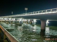 -演武大桥观景平台