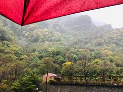 -青峰峡国家森林公园