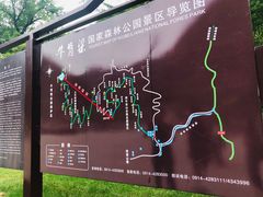 -牛背梁国家森林公园