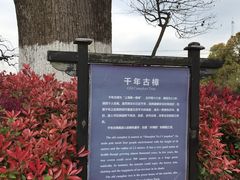 -韩湘水博园