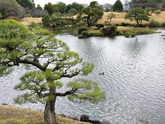 -水前寺成趣园