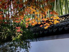 -秋霞圃